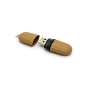 GFY1016 Eco Nuts Flash Drive