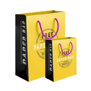 Paper Bag (make to order)