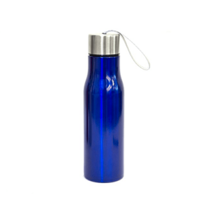 palmer stainless steel sport bottle with sleek finish