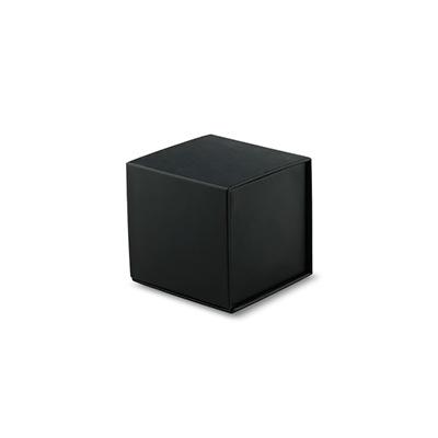 GIH1153 RV Bluetooth Speaker (LED logo)