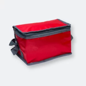 lime insulated bag