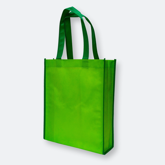 GMG1113 Non Woven Bag A4 (handle different color)
