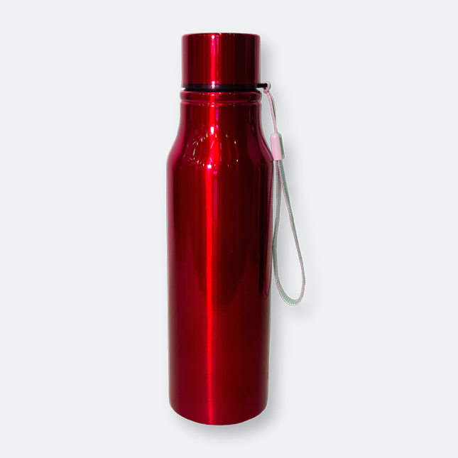GMG2014 Fizzlo Stainless Steel Bottle