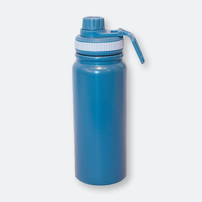 GMG2047 Blimsy Stainless Steel Bottle