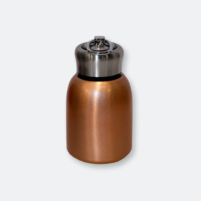 GMG2070 Fizzno Stainless Steel Bottle