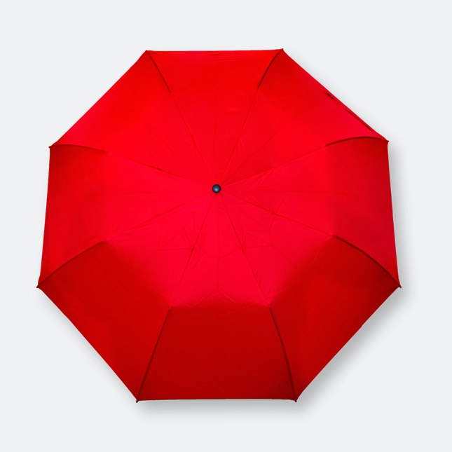 GMG1162_Frank_Foldable_Auto_Umbrella_FRONT GMG1162 Frank Foldable Auto Umbrella