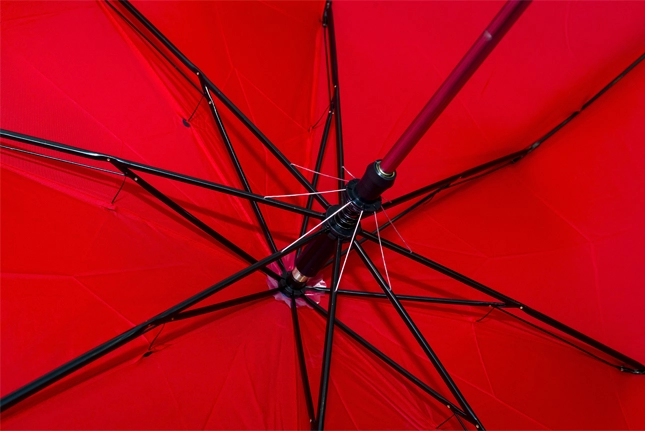 GMG1162_Frank_Foldable_Auto_Umbrella_INNER GMG1162 Frank Foldable Auto Umbrella