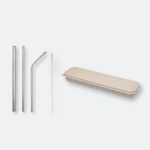 GMG2088 Spiffy Stainless Steel Straw Set