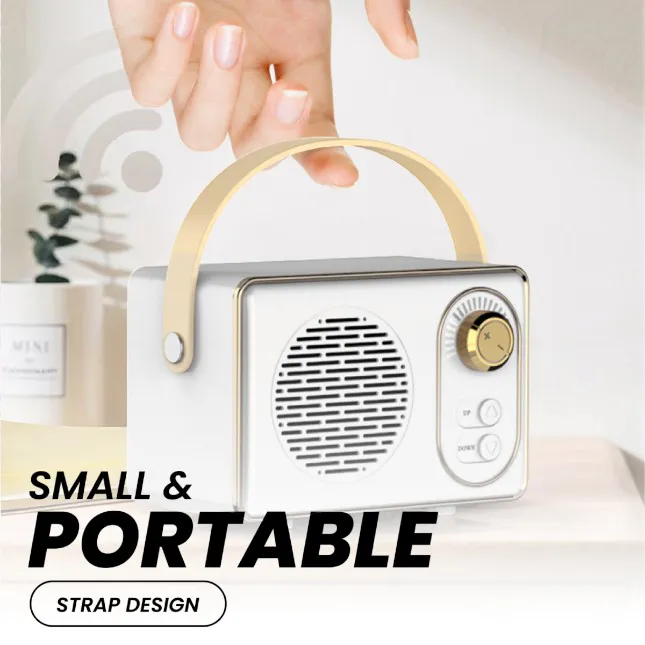 GTT4076 I-RETRO Wireless Speaker