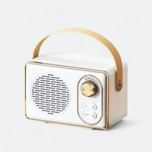 GTT4076 I-RETRO Wireless Speaker