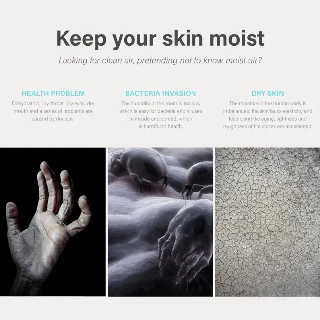 GTT4091 Flylo Humififier 6