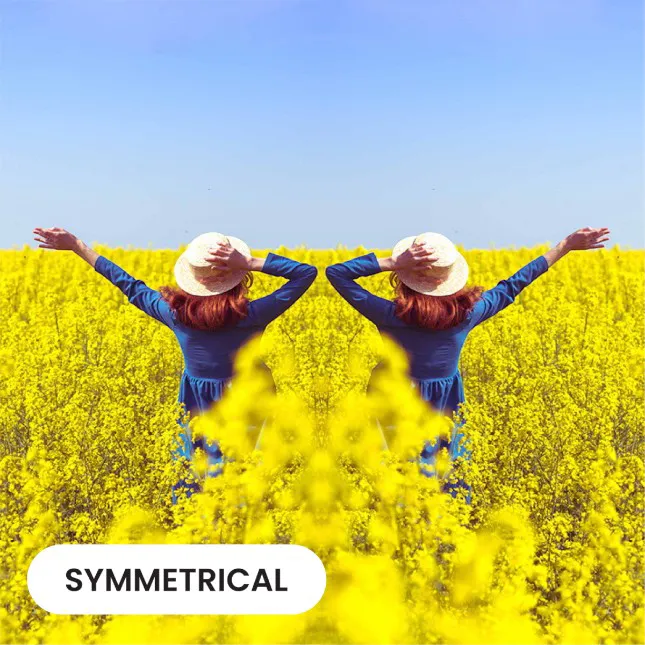 GTT4103 Syvra Selfie Rear Mirror Clip 2